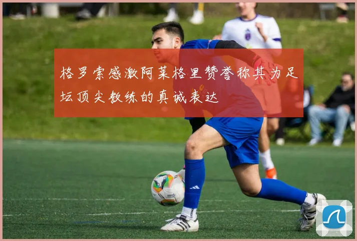 格罗索感激阿莱格里赞誉称其为足坛顶尖教练的真诚表达